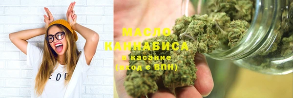 меф Ельня