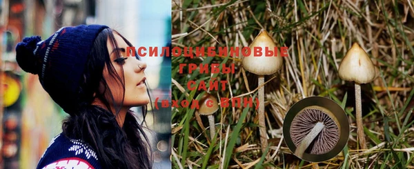 спайс Заволжск