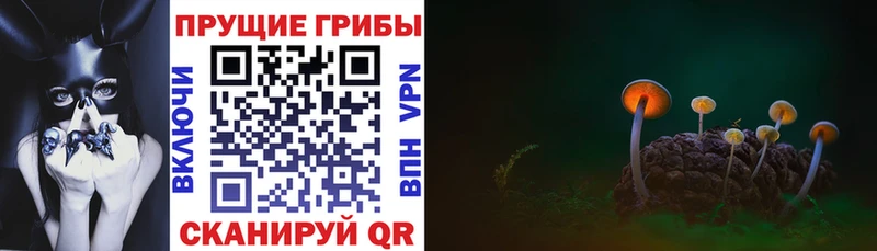 Галлюциногенные грибы Magic Shrooms  Пятигорск 